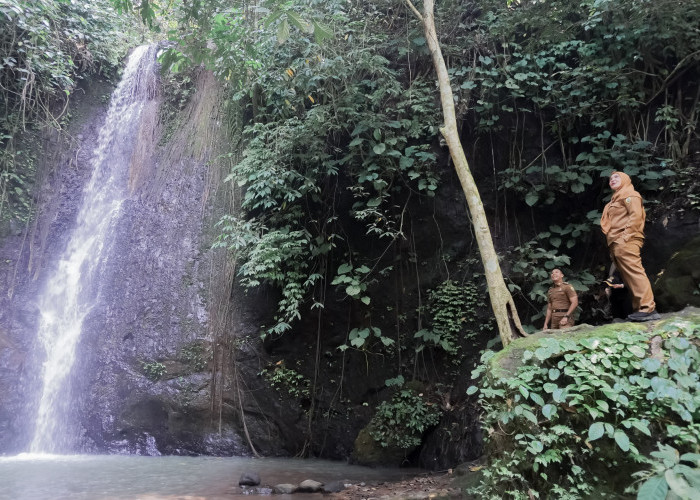 Pemkot Bandar Lampung akan Kembangkan Potensi Wisata Air Terjun Taman Sehati