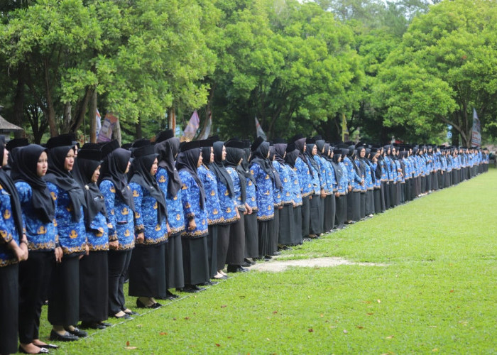 Gaji PPPK Paruh Waktu Lambar Naik Oktober 2026, Terendah Jadi Rp750 Ribu