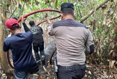 Karhutla 458 Hektare Mengancam Kawasan Bukit Soeharto di Sekitar IKN