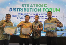 Hari Pelanggan Nasional, PLN UID Lampung Catatkan Kinerja Operasional Terbaik 3 Nasional Unit Induk Distribusi