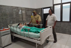 Pengunjung Anak Terpental Terkena Belalai Gajah di Way Kambas, SOP Keselamatan Pengunjung Dipertanyakan