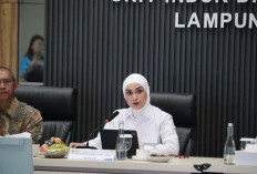 Tinjau Sektor Energi Lampung, Komisi XII DPR RI Apresiasi Keandalan Kelistrikan PLN