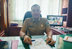 Sekda Lamtim: Kritik Jadi Bahan Evaluasi, HUT ke-27 Libatkan 2.000 UMKM