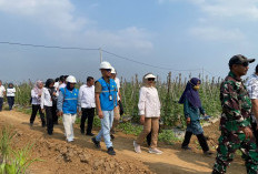 Jelang HUT ke-81 RI, PLN UP3 Metro Perkuat Ketahanan Pangan Lampung Timur Lewat Listrik Masuk Sawah