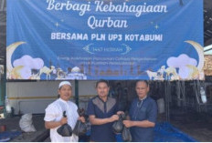 PLN UP3 Kotabumi Salurkan Daging Kurban untuk 110 Penerima Manfaat di Lampung Utara