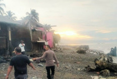 Belasan Rumah Warga Pesisir Kota Agung Rusak Diterjang Gelombang Tinggi 