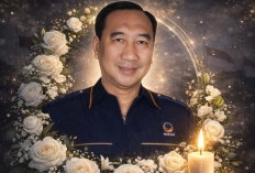Innalillahi, Anggota DPR RI Fraksi NasDem, Tamanuri Meninggal Dunia