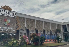 Miris, Acara HUT Ke 80 Mampu, Bayar Gaji Perangkat Desa 4 Bulan Pemkab Lampura Tak Mampu
