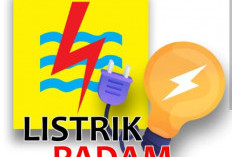 Listrik Jakarta Berulangkali Padam, IWO: Dirut PLN Tak Kenal Budaya Mundur, Harus Dicopot dan Diperiksa!