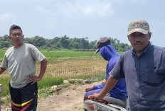 Tanggul Gajah Jadi Polemik di Sukorahayu, Petani Pertanyakan Tanah yang Sudah Dihibahkan