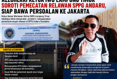 Ketua IWO Lamtim Soroti Pemecatan Relawan SPPG Andaru, Siap Bawa Persoalan Ke Jakarta