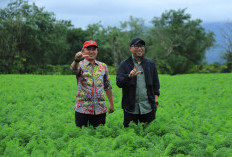 Parosil Beberkan Keluhan Petani Sayur, Gubernur Mirza Janji Stop Pasokan Dari Luar