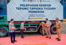 Tembus Pasar Global, 3.330 Ton Tapioka Lampung Diekspor ke China