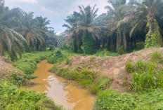 PT. Kencana Acidindo Diduga 'Serobot' Sempadan Sungai dan Cemari Air, Warga Resah