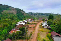 PLN UID Lampung Berhasil Nyalakan Listrik di Tujuh Desa