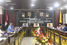 Komisi IV DPRD Lampung Perkuat Sinergi dengan Pelindo, Optimalkan CSR untuk Infrastruktur