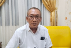 Insiden Pekerja PJU di Way Lima Picu Simpang Siur, Rekanan Tegaskan Tak Ada Korban Jiwa