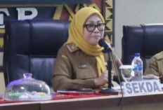 Kisruh Antrean MJKN di RS Ryacudu, Sekda Lampura Warning Management