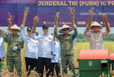 Gubernur Mirza Apresiasi TNI AL Yang Kembangkan Komoditas Kedelai Unggul di Lampura