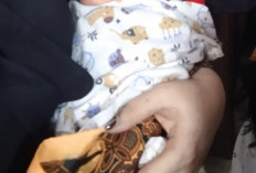 Geger! Bayi Mungil Perempuan Ditemukan di Belakang Salon Desa Terbanggi Marga