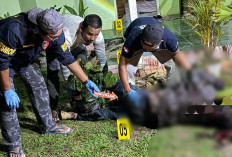 Gara-gara Tagihan Angsuran, Pria Asal Bandar Lampung Tewas Dibacok di Lampung Barat