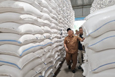 Pemkab Lamtim dan Bulog Salurkan Bantuan Pangan Februari–Maret 2026