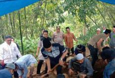Korban Kebakaran Gedung Terra Drone Asal Tanggamus Novia Nurwana Ternyata Sedang Hamil 7 Bulan
