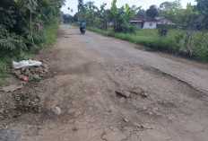 Jalan di Kecamatan Marga Tiga Rusak Parah, Warga Minta Pemprov Lampung Segera Perbaiki