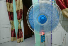 Wajib Tahu, ini Cara Membersihkan Kipas Angin Tanpa Harus Membongkar Total 