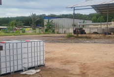 Makin Taktersentuh, Kebal Hukum Mafia BBM Ilegal Tanjung Bintang