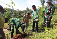 Kodim 0412/LU dan Koramil 412-07/ABB Tanam 1.000 Pohon di Nyapah Banyu