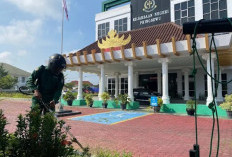 Kejari Pringsewu Selidiki Dugaan Penyimpangan Dana Hibah Pilkada 2024