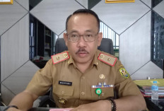 Dinkes Catat Kasus DBD di Bandar Lampung Capai 33