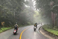 Penguasaan 111,71 Hektare Tahura Bukit Soeharto Berujung Potensi Denda Rp 147,3 Miliar