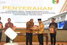 Pemkab Tanggamus di Bawah Kepemimpinan Bupati Saleh Berhasil Pertahankan Opini WTP dari BPK RI