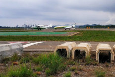 IWO: Presiden Harus Tutup Bandara Ilegal di Morowali dan Usut Pejabat Negara Yang Miliki Saham di IMIP