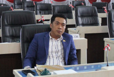 Sunyi di Pasar Dekon dan Suara Lantang dari Kursi Parlemen