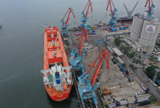 Curah Cair Dorong Kinerja Awal Tahun, PTP Nonpetikemas Catat Throughput 12,04 Juta Ton pada Triwulan I 2026