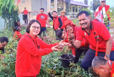 PDIP Metro Dorong Budidaya Pangan, Antisipasi Krisis Global