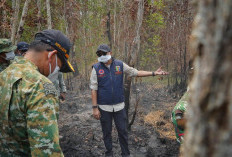 Gubernur Mirza Tegaskan Pemadaman Karhutla TNWK Harus Dipercepat, Kesehatan Warga Jadi Prioritas