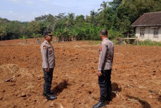 Polres Lampura Cek Lahan Tanam Jagung Serentak di Kotabumi Utara