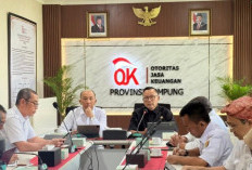 OJK dan Pemprov Lampung Bahas Strategis Obligasi/Sukuk Daerah Serta Integrasi Program Desaku Maju Agrifuture