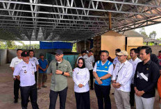 Dampingi Gubernur Lampung Tinjau Produksi Gabah Mesuji dan Tulang Bawang, PLN Siap Dukung Infrastruktur