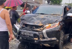 Angin Kencang, Pohon Mahoni Tumbang Timpa Pajero Sport di Gadingrejo Pringsewu