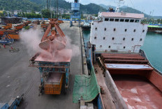 Bongkar Pupuk di Lampung, PTP Nonpetikemas Ambil Peran dalam Rantai Pasok Pertanian Nasional