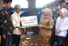 Bupati Ela Serahkan Sapi Kurban dari Presiden Prabowo ke Masjid Baiturrahman Sekampung Udik