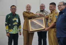 Wagub Lampung Dorong Perluasan Jamsostek, 79 Persen Pekerja Informal Belum Terlindungi