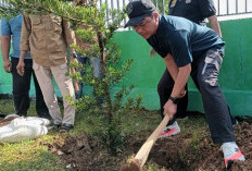 Bupati-Wabup Pringsewu Tanam Pohon Lohansung di Halaman Masjid Pemkab