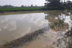 Provinsi Bungkam, Petani Korban Banjir Sasar Kota Metro