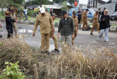 Gubernur Mirza Pantau Langsung Perbaikan Jalan Provinsi di Kota Metro